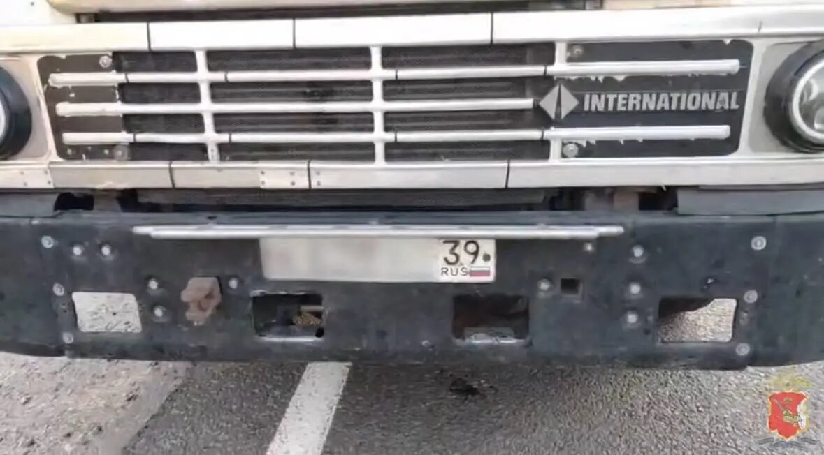    Фото: скриншот видео пресс-службы МВД России