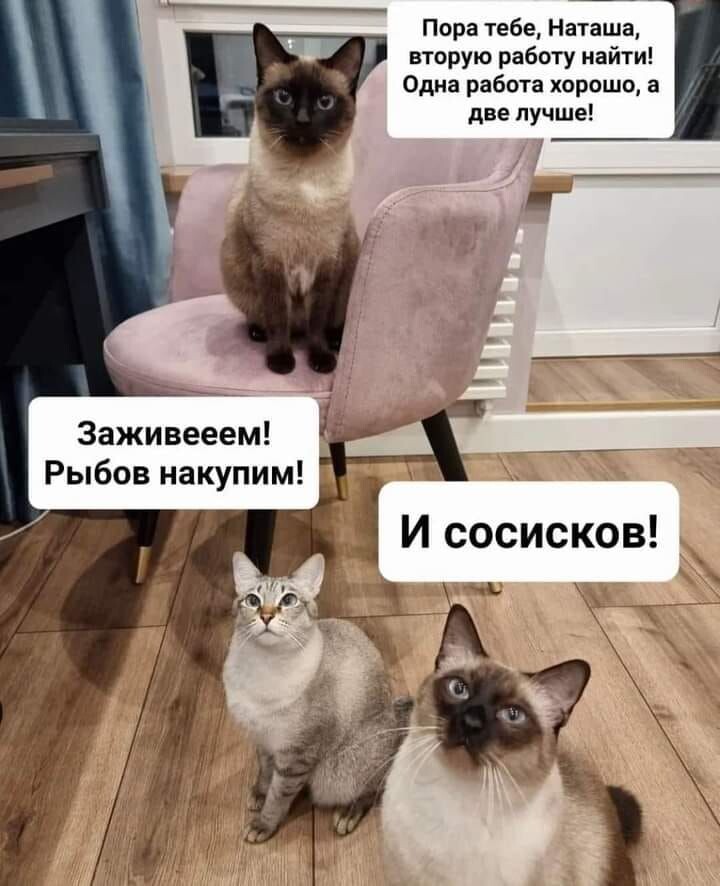 Картинка из открытых источников интернета 