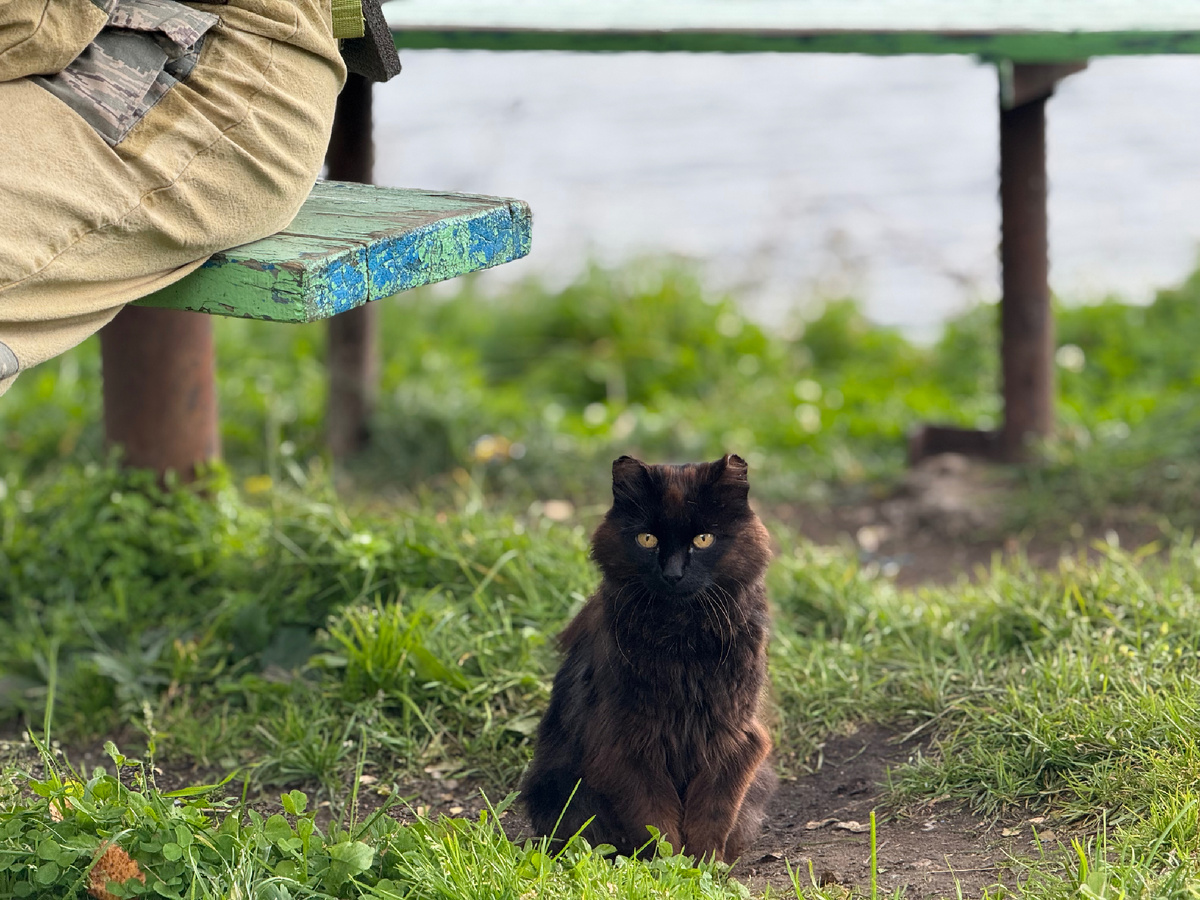 Это была наша личная достопримечательность на о.п. Галерея Сосновая