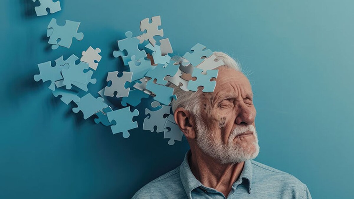 Фото из открытых источников интернета 