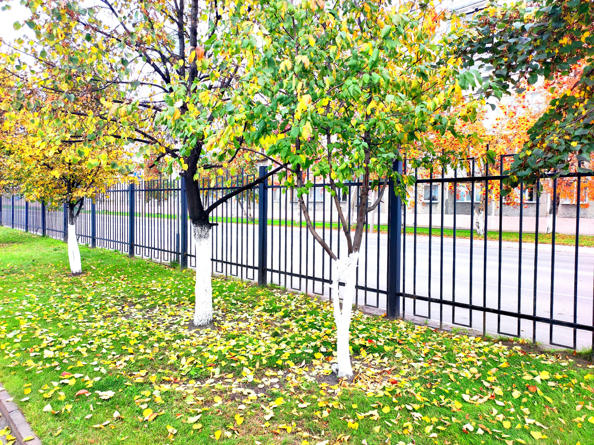 Фото автора 