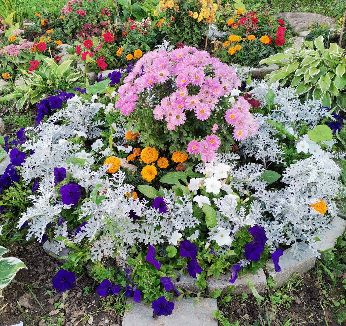 Непреодолимое стремление жить присуще всему живому, если оно здорово.