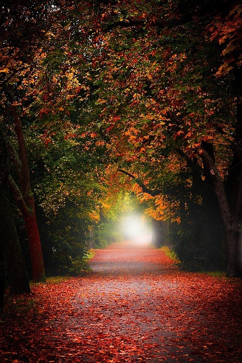 Фото из открытого источника