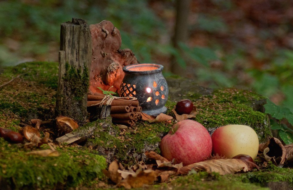 Фото из открытого источника