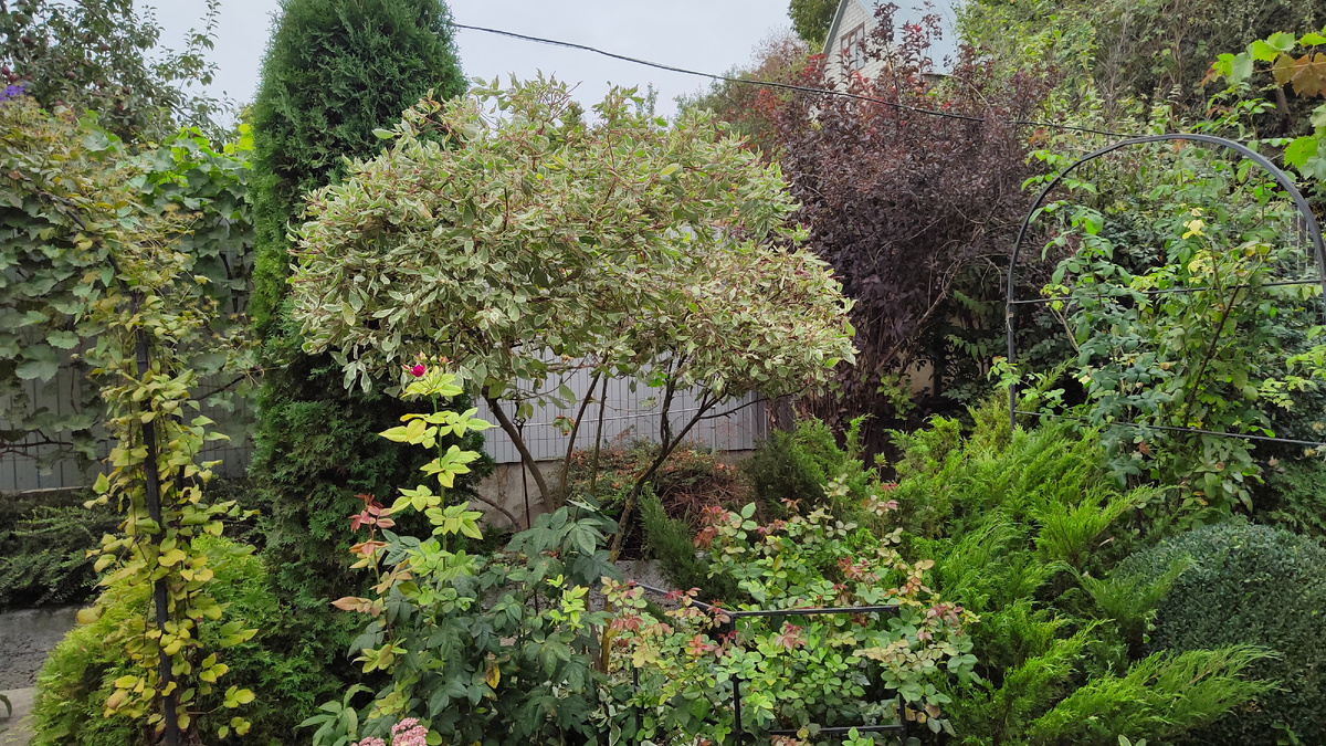 Три цвета и три разные формы - красивое сочетание