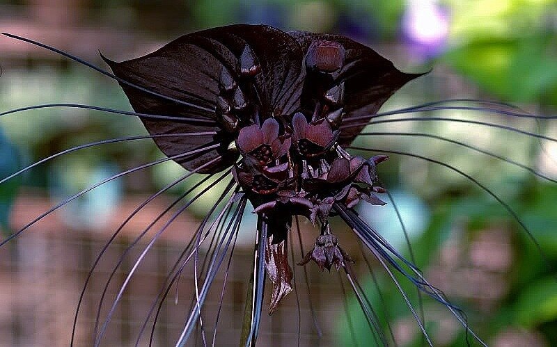 Фото из сети интернет 