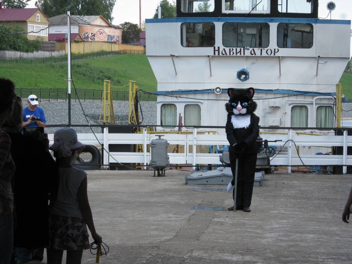 Кот не мышь. Ну и что?