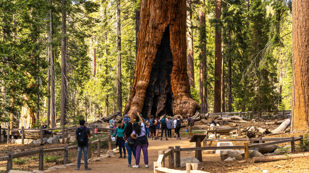    Фото: Iv-olga/Shutterstock