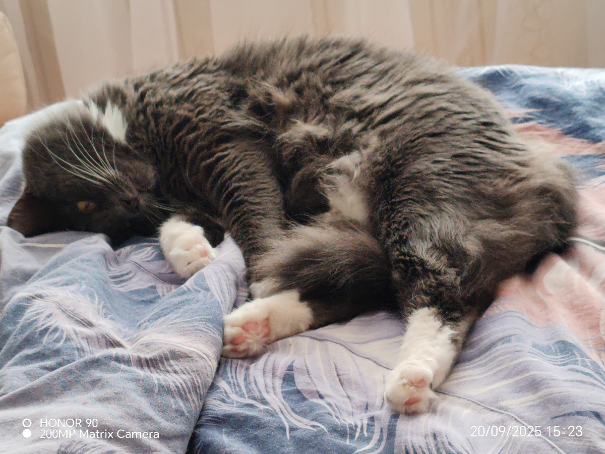 Фото автора канала. 