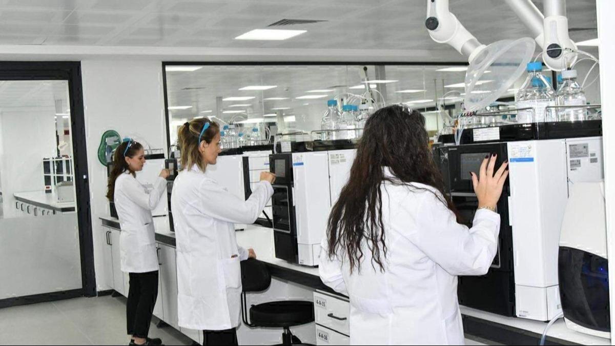 Фото из Интернета. 