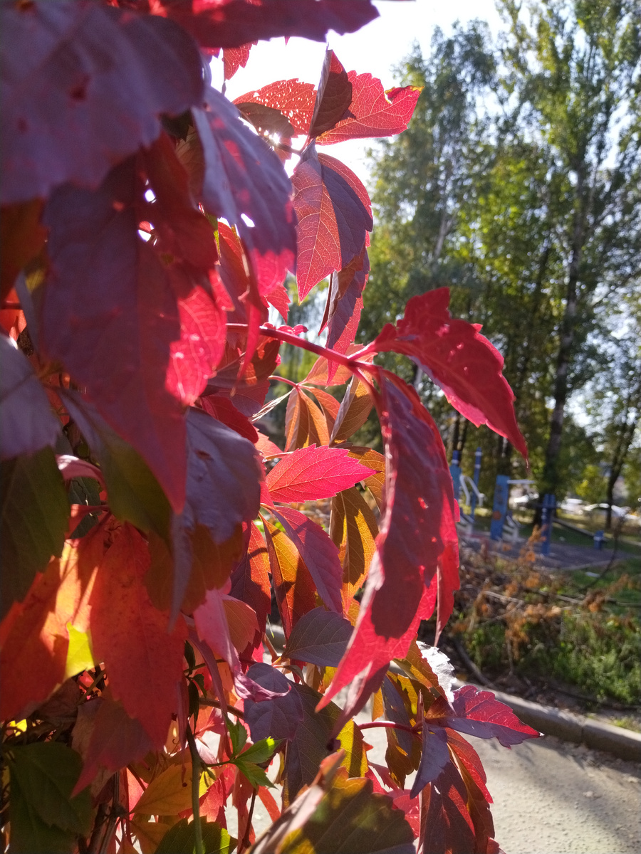 Прекрасная погода, спасибо