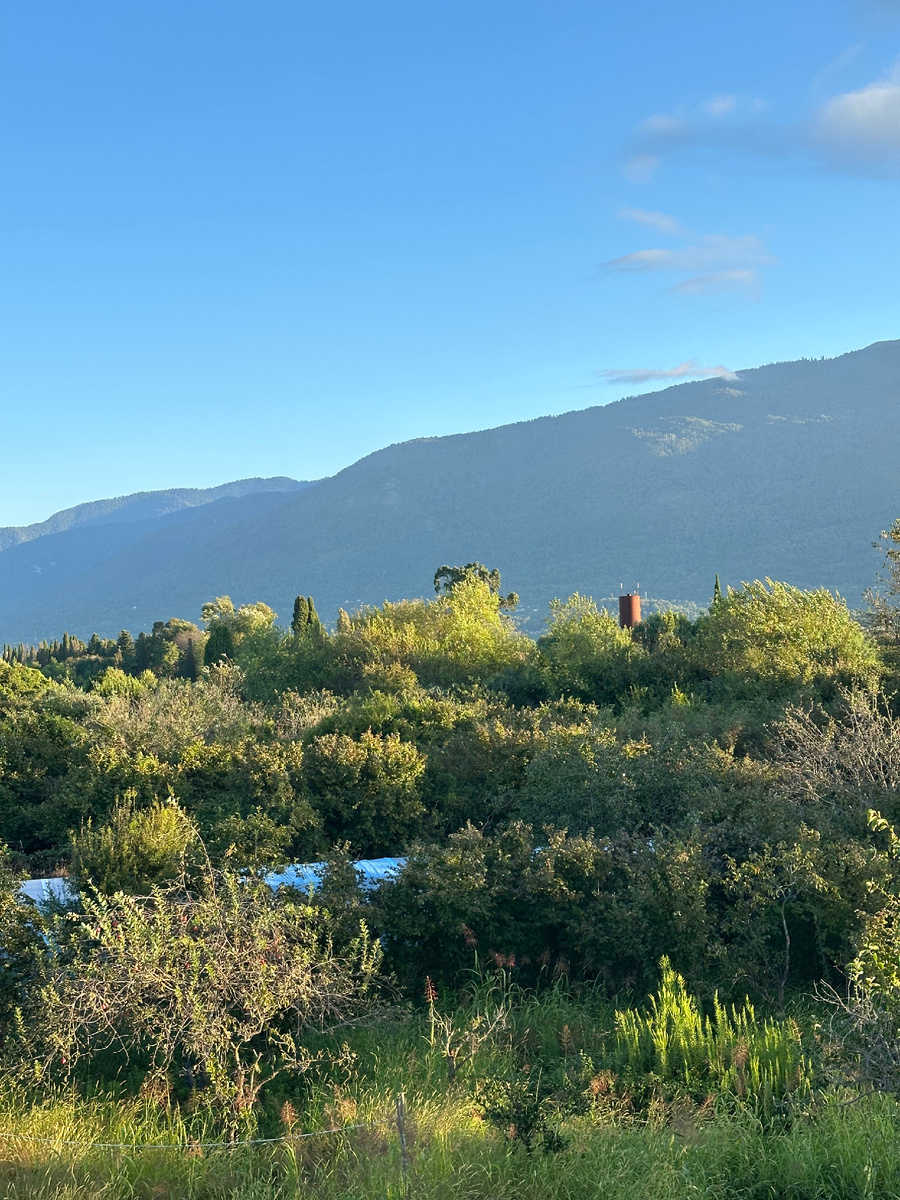 Вид из номера