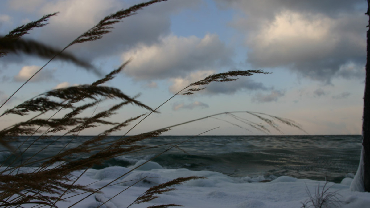 Фото с просторов интернета 