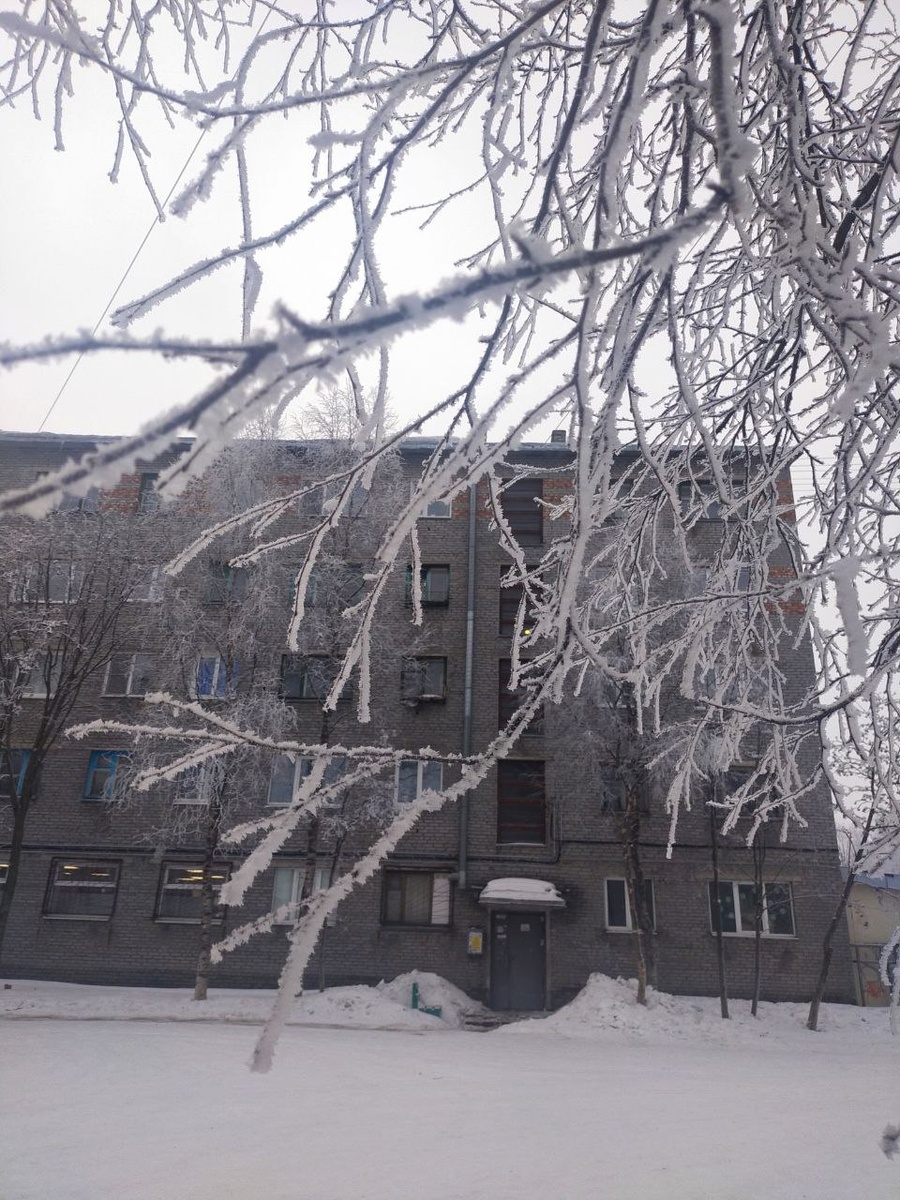 Самые обычные хрущевки.