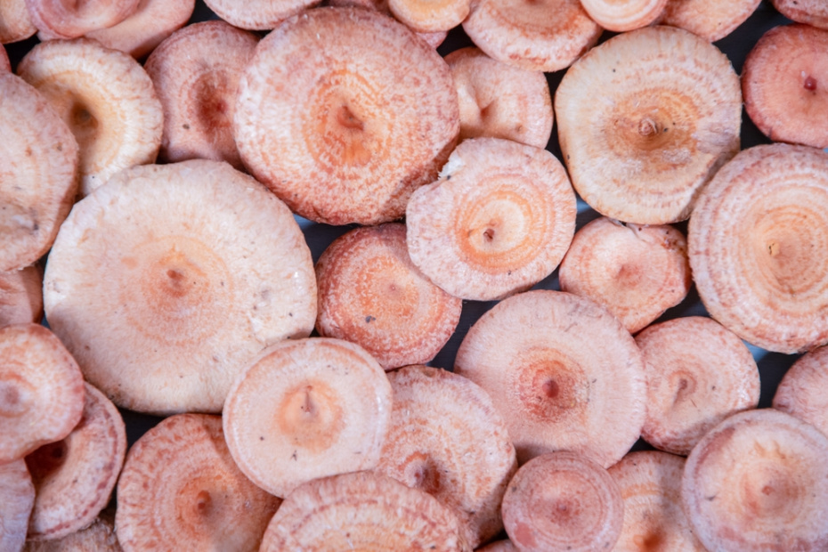    Shutterstock/FOTODOM