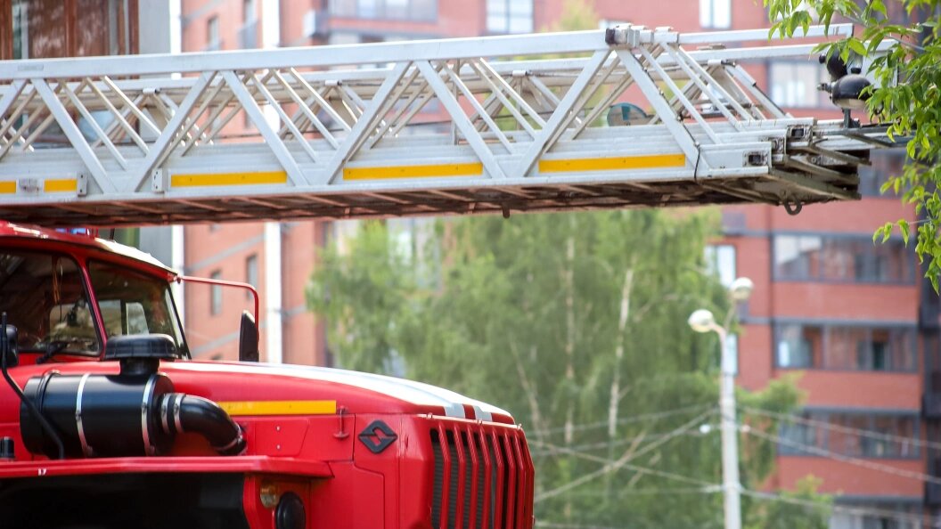    Фото: Elena Mayorova/Globallookpress