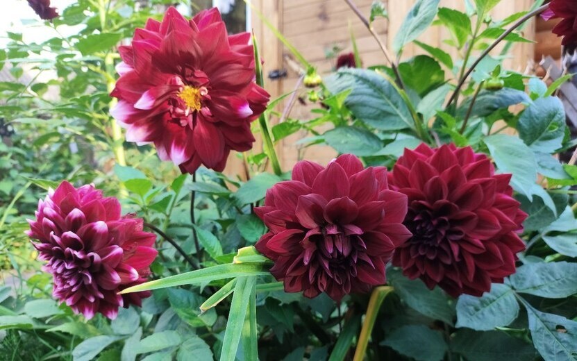    Погода в Ижевске на день: 22 сентября ждем ночной дождь и до +19°С