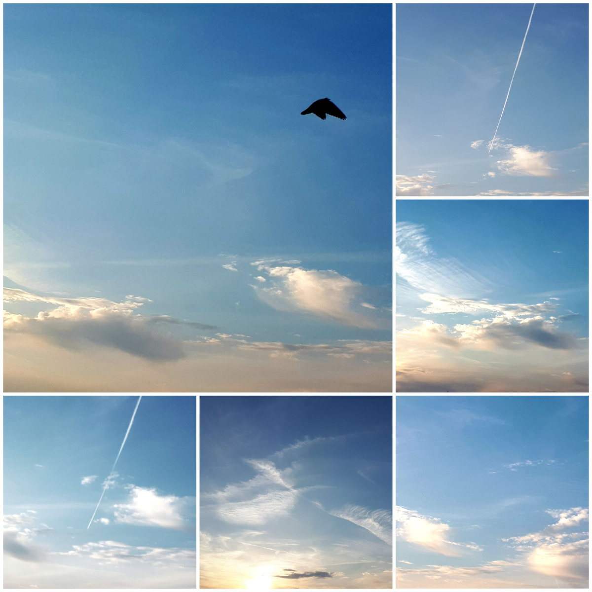 Коллаж автора 21.09.2025г.