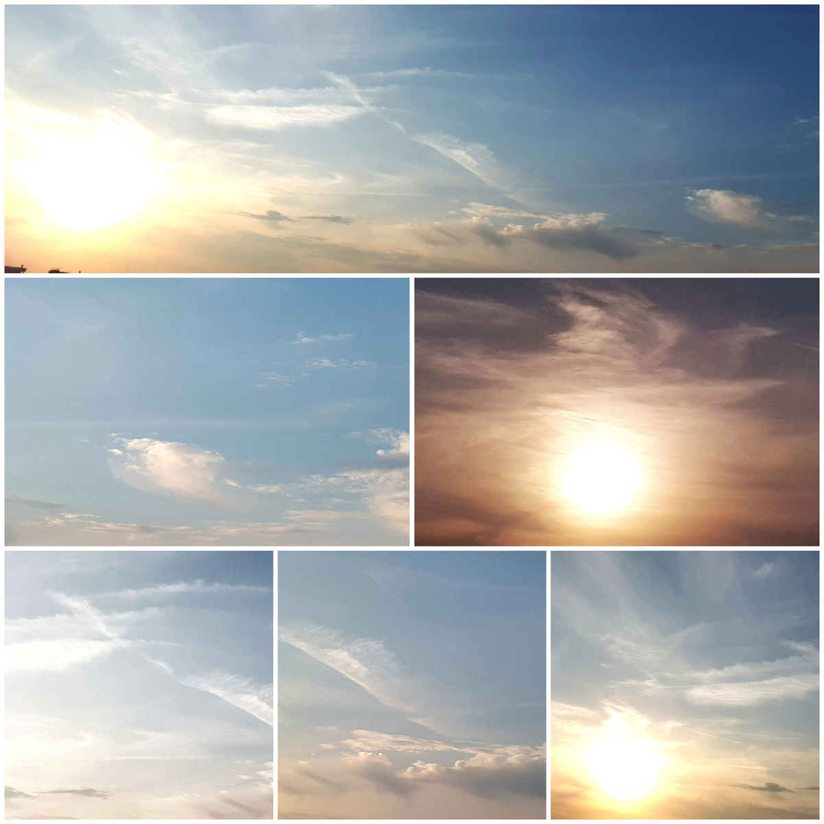 Коллаж автора 21.09.2025г.