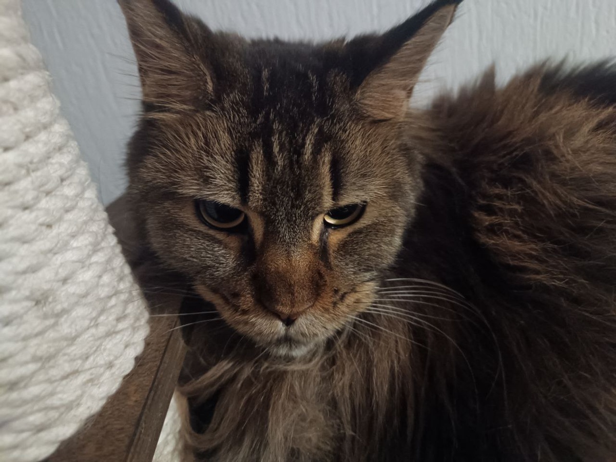 Я возмурщена