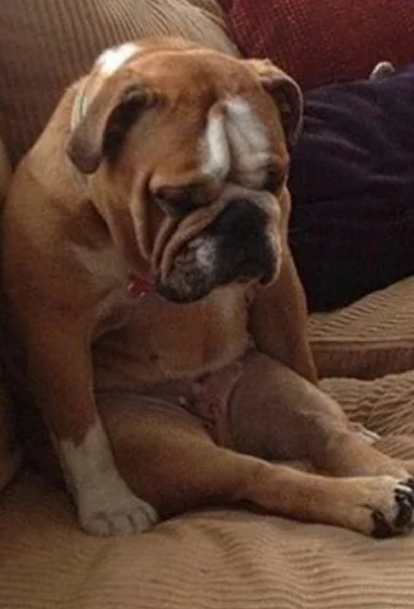 Фото из интернета