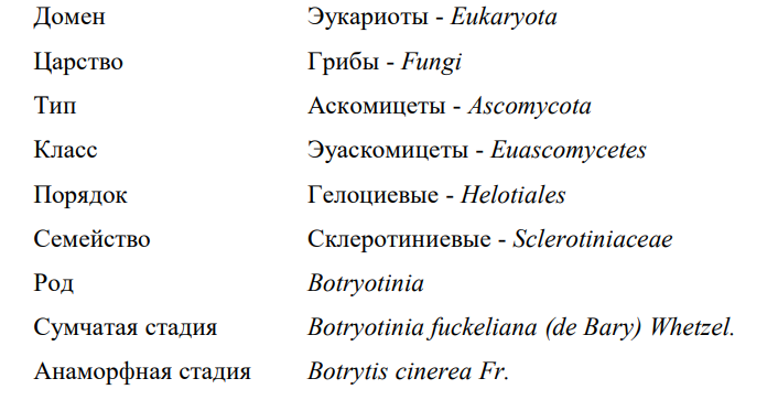 Систематическое положение Botryotinia fuckeliana