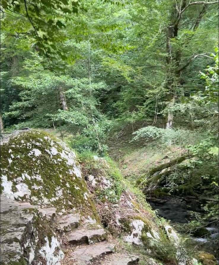 Валун с отпечатком стопы Симона-Кананита.