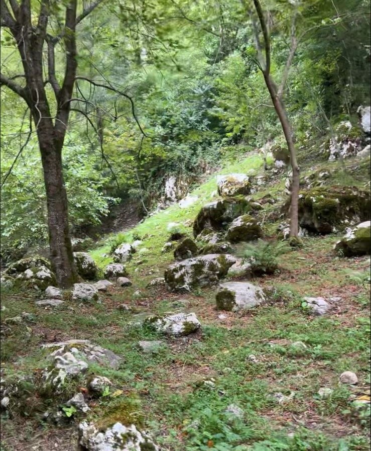 Пейзажи на пути следования к келье.
