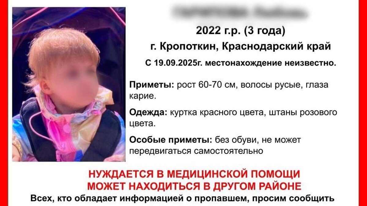    Фото: poisk_193 / t.me