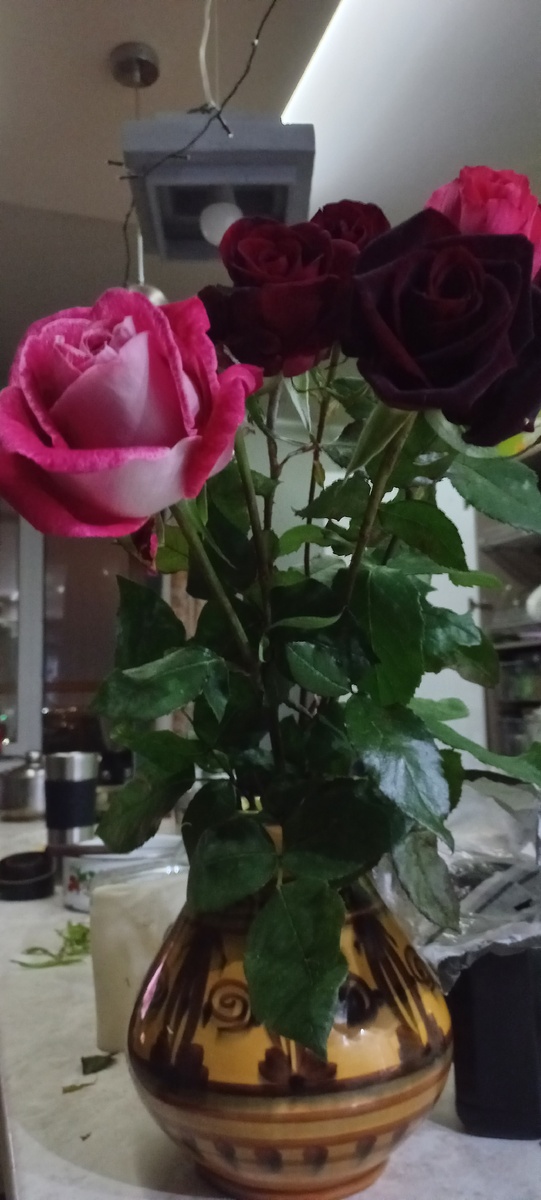 Феи-тётушки подогнали 