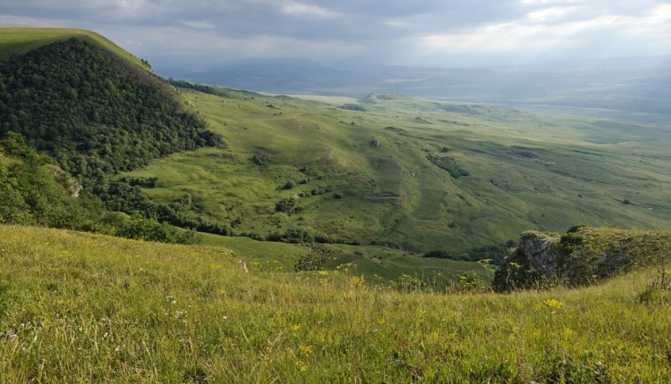 Источник новости: https://nia.eco/2025/09/17/108158/