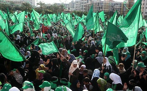     / Источник: (cc) Hadi Mohammad