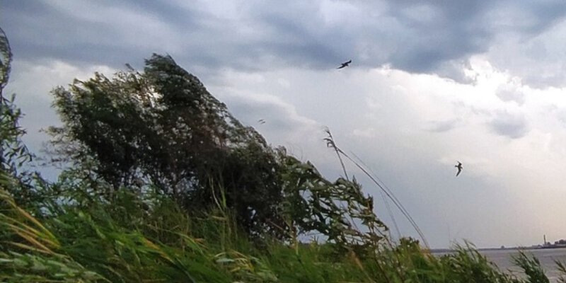 Фото с просторов интернета 