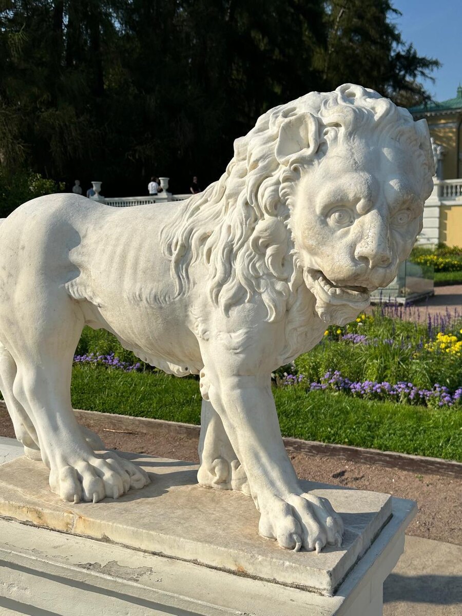 В Архангельском. Фото автора.