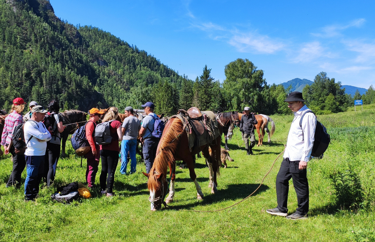 Рспределение 