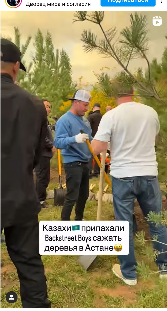 Мои любимые BSB 