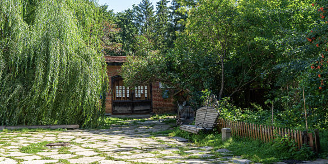 Топ 20 растений, которые помогут избавить участок от избыточной влажности.