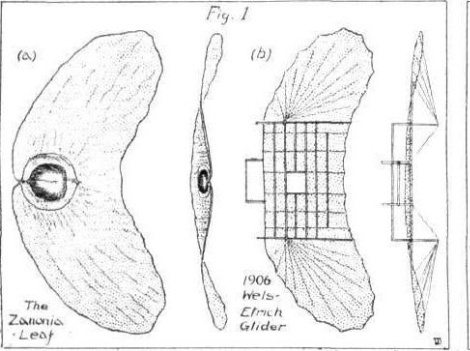 Планер первый
