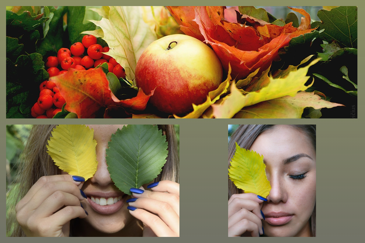 pixabay.com