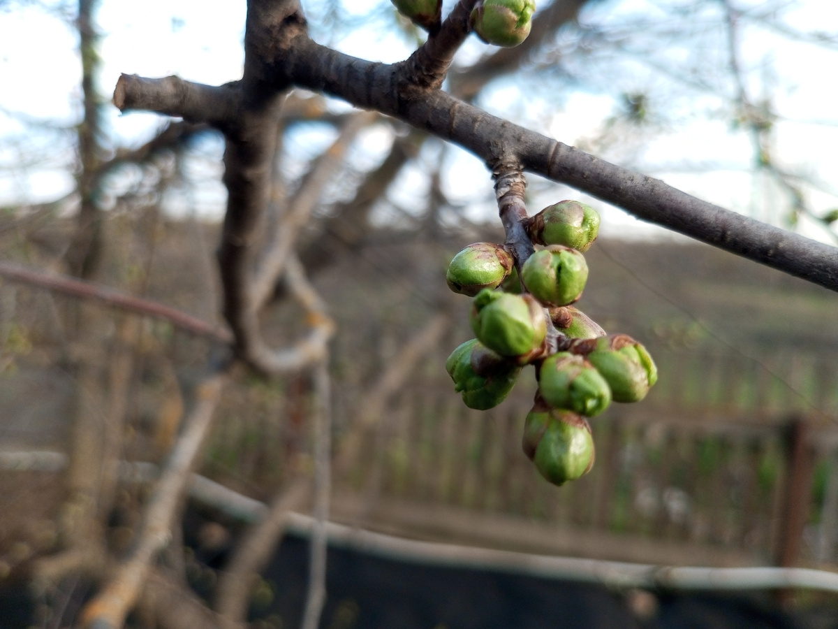 Ещё немного, и всё случится. Фото автора.