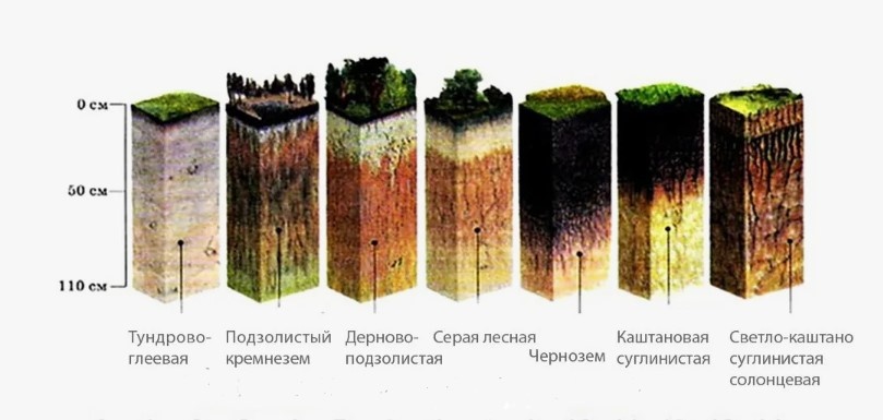 Типы почв по возрастанию pH