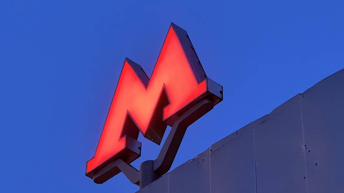    Фото: Андрей Прошин / Вечерняя Москва