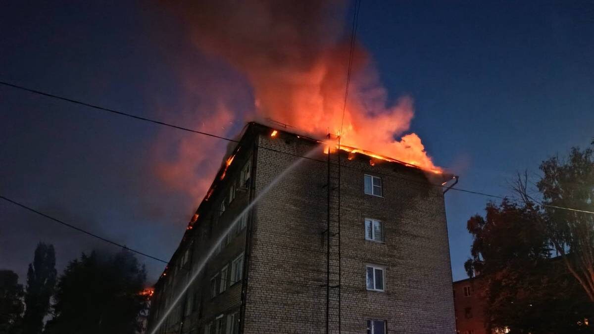    Фото: МЧС Липецкой области / Telegram