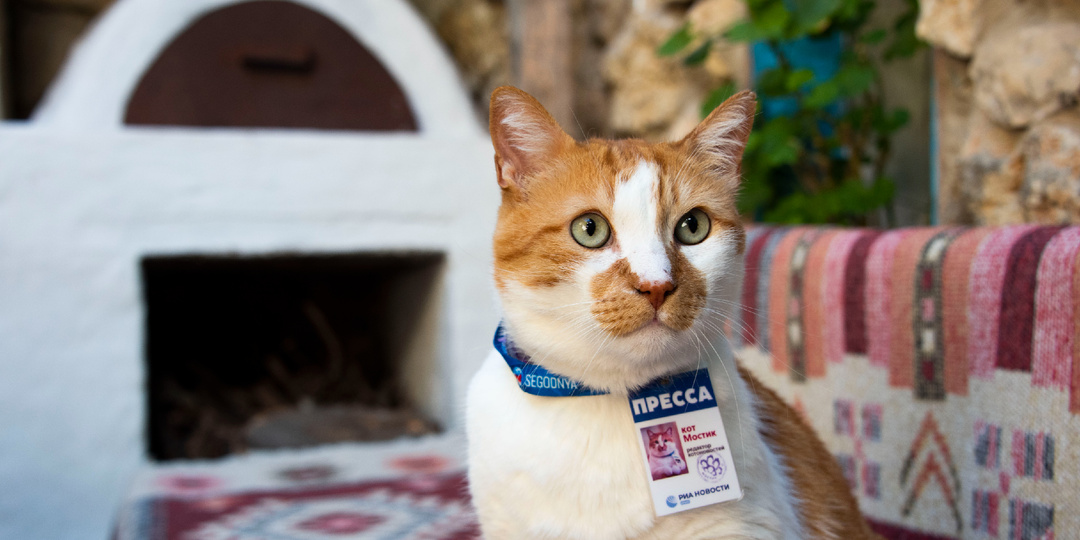 Кот Мостик в медной лавке: как в Бахчисарае возрождают старинное ремесло