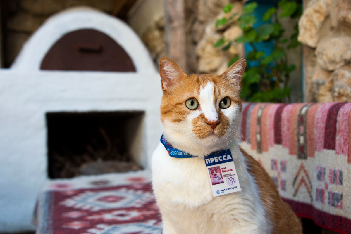 Новая статья - новая история.