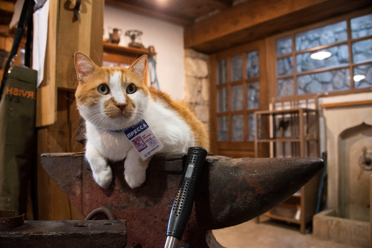 Здесь уютно и интересно.