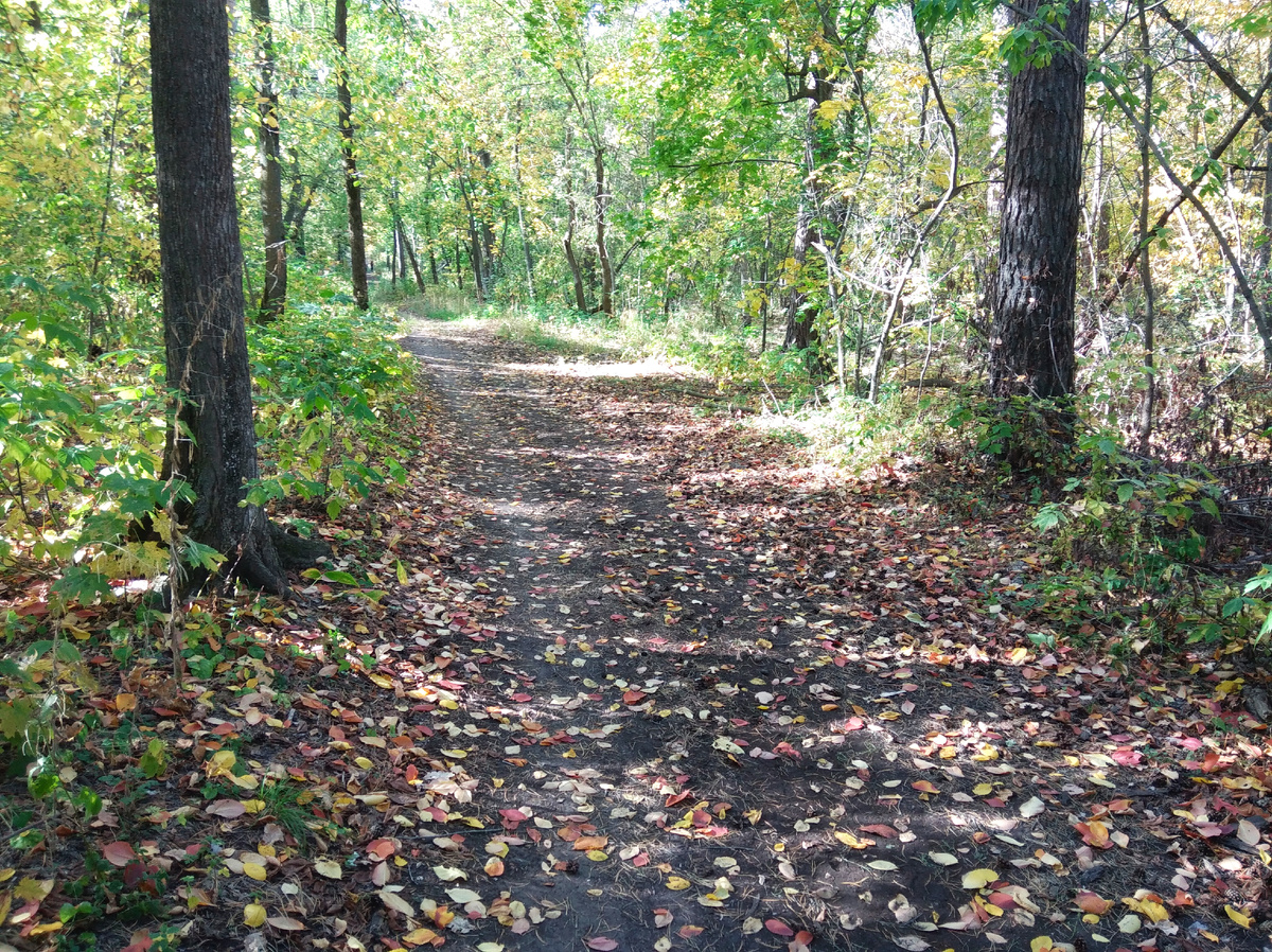 Осенняя прогулка