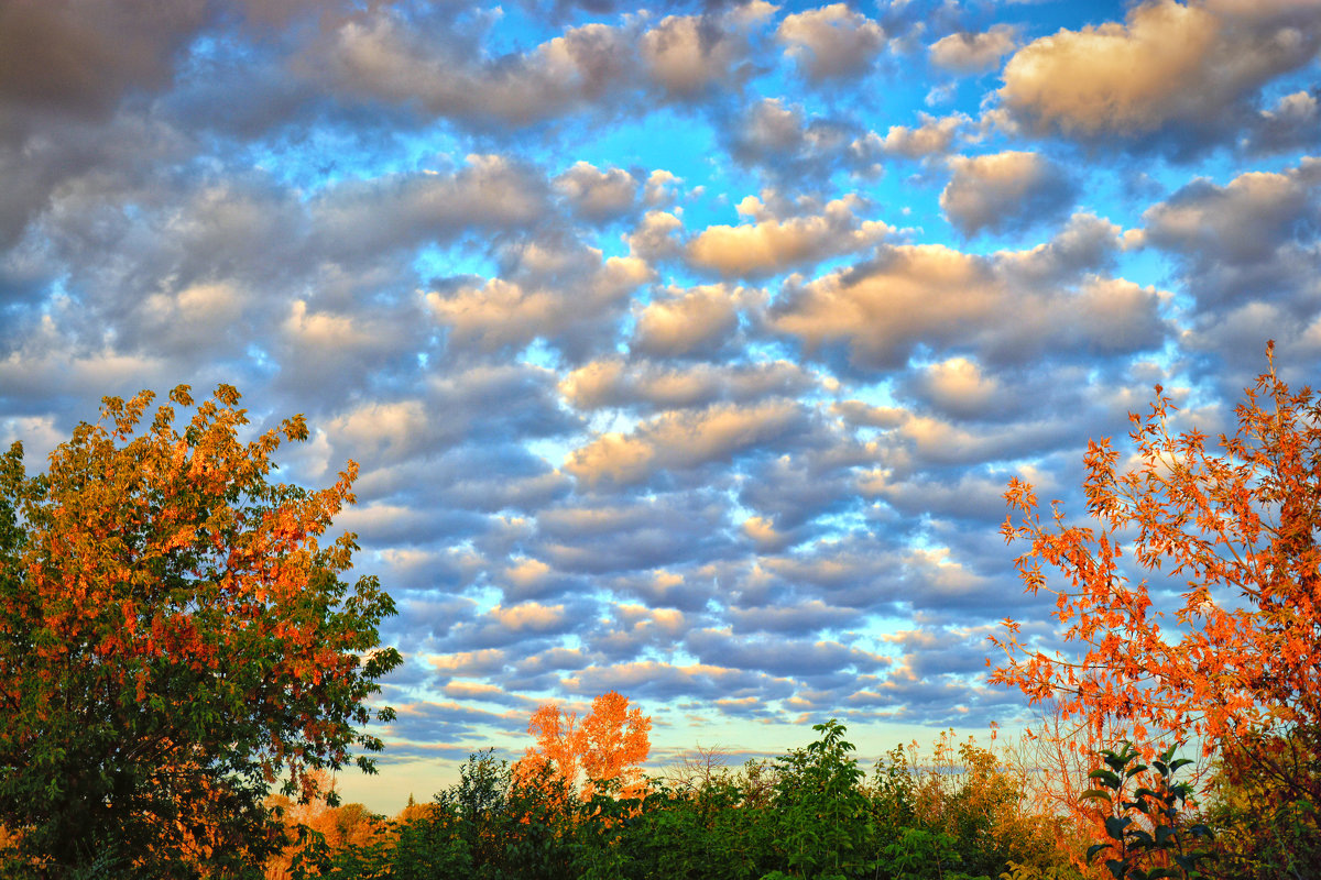 Фото взято из интернета.