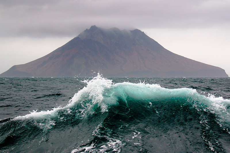    Shutterstock/FOTODOM