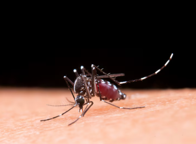    Фото: freepik.com Редактор